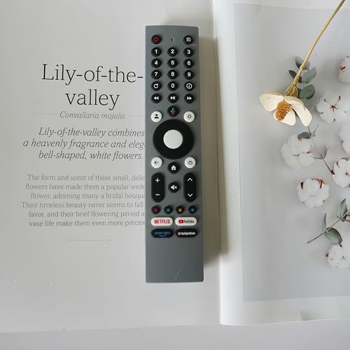Télécommande vocale RM-C3295 pour JVC cassée ou perdue - 6