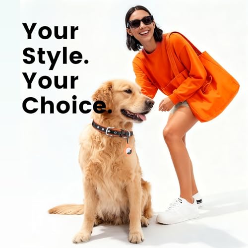Collier chien cuir AirTag réglable personnalisé avec code QR anti-perte pour petit chien