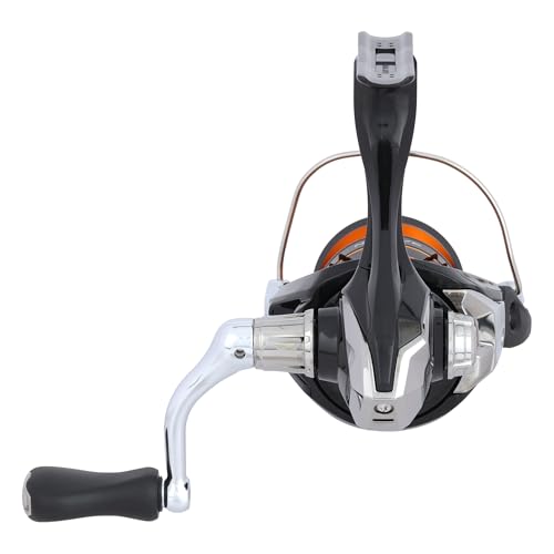 SHIMANO NEXAVE FJ Caña y Carrete de Pesca Spinning NEX1000FJ miniatura 2