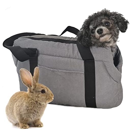 LeerKing Bolsa de Transporte para Perros y Gatos de Viaje para Mascotas, Gris S