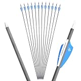 FQH 31' Carbon Pfeile 500 600 900 Spine Innendurchmesser 4,2 mm Zielpfeile für das Bogenschießen...