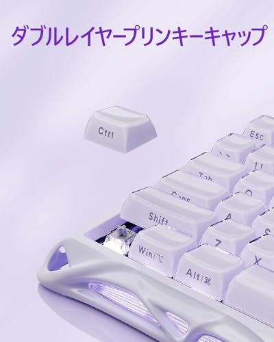0.005mmラピッドトリガー 搭載 GravaStar Mercury V75 ゲーミングキーボード テンキーレス ポーリングレート8000Hz対応 0.125ms超低遅延 有線 着脱式ケーブル 75%サイズ 半アルミフレーム アクチュエーションポイント バックライトRGB 磁気式スイッチ パープル