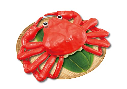 Puzzle de demantellement de crabe Megahouse, modelisme 3D pedagogique et realiste