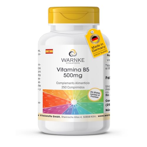 Vitamina B5 500mg - 250 comprimidos - 500mg por comprimido - ALTA DOSIS - fáciles de tragar - D-pantotenato cálcico - Calidad farmacéutica alemana - vegano | Warnke Vitalstoffe Vitamina B5 500mg - 250 comprimidos - 500mg por comprimido - ALTA DOSIS - fáciles de tragar - D-pantotenato cálcico - Calidad farmacéutica alemana - vegano | Warnke Vitalstoffe