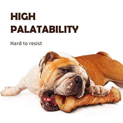 Afreschi Turkey Tendon For Dogs, 2 Pretzel In A Pack And 2 Bone In A Pack, Ingredient Sourced From Usa, Alternative To Rawhide, Premium All-Natural, Hypoallergenic, Dog Chew Treat, Easy To Digest #TOP7