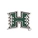 Desert Cactus University of Hawaii Lapel Pin UH Rainbow Warriors Made of Metal for Formal Wear, Bag and Hat Jewelry, and Tie Tack (Pin A)