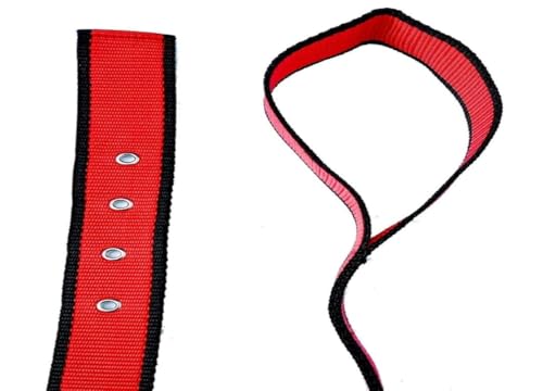 Image of THE BON BON Premium 5ft Dog Leash and Collar Set for Large Dogs | Heavy Duty Nylon with Reflective Stitching, Padded Handle, Adjustable Collar | Ideal for Walking and Training (Red, Medium)