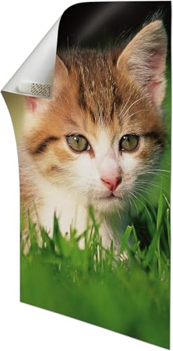 Command Poster-Strips Selbstklebend, 12 kleine Klebestreifen, Weiß - Poster, Fotos, Plakaten, Kalendern oder Bilder ohne Rahmen Aufhängen