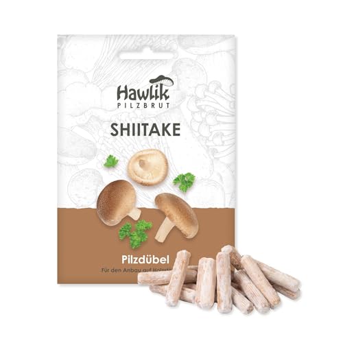 Hawlik Pilzbrut - Tasselli per funghi shiitake per la coltivazione su legno - 20 pezzi - Lentinula edodes micelio - Facilissimo da coltivare funghi shiitake in giardino