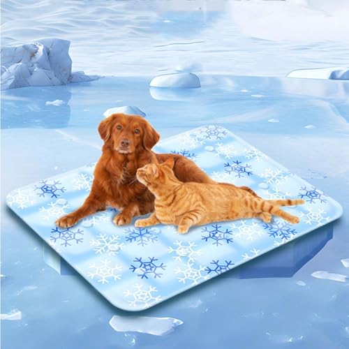 ybgЂ}bgWF QWF,  K, 􂦂 ybgpN[}bg  L, pr, ܂, JԂp\(60X90cm)