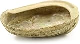 RDAHSUEHH Sage Smudge-Set mit wunderschönem, natürlichem 15,2 cm Abalone-Muschel aus natürlichem Holz, Kobra-Stativ (Muschel)