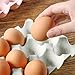 Egg Tray Fresh Preservation Multipurpose 3 Rows Space Saving Egg Storage Container for Kitchen Refrigerator