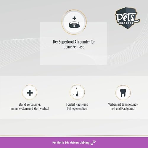 Pets Protect Bio Seealgenmehl für Hunde und Katzen – 100% natürliches Superfood | Barf Ergänzung | natürliche Jodquelle | reines Pulver ohne Zusätze | 150 g | 100% Bio-Qualität DE-ÖKO Zertifiziert