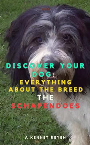 Discover your Dog:Everything about the breed: The Schapendoes