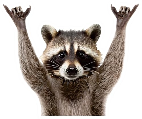 STICKY DUDE Rocking Raccoon Sticker, Funny Raccoon Cute Car Decal, 3 or 5 inches - Vinyl for Car, Yeti, Cooling Box, Waterproof Sticker, Decal Car Laptop Wall Window Bumper Sticker (1, 5in)