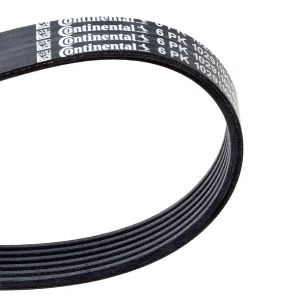 Courroie trapézoïdale à nervures 6PK1029 ELAST Continental Contitech
