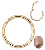 Vegolita 14G 16G 18G 20G 316L Stainless Steel Hinged Nose Rings Hoop for Women Men Septum Clicker Hinged Segment Ring Cartilage Helix Tragus Earring Lip Rook Conch Hoop 6-14MM Rose Gold16G 6MM