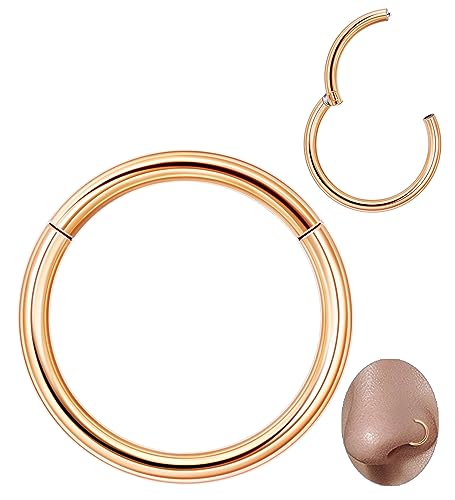 Vegolita 14G 16G 18G 20G 316L Stainless Steel Hinged Nose Rings Hoop for Women Men Septum Clicker Hinged Segment Ring Cartilage Helix Tragus Earring Lip Rook Conch Hoop 6-14MM Rose Gold16G 6MM