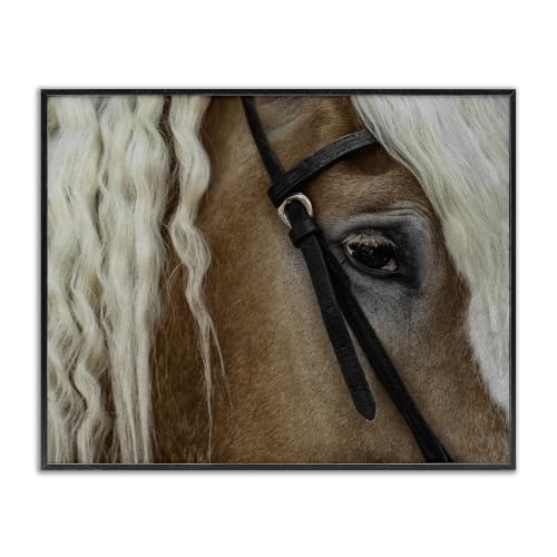 Blonde Palomino Horse Portrait, 11 x 14 Inch Framed Giclée Print