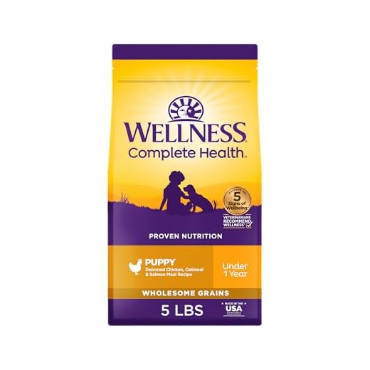 Wellness Complete Health Puppy Dry Dog Food, Wholesome Grain Kibble, Natural, Chicken, Oatmeal, and Salmon Recipe, 5 lb Bag