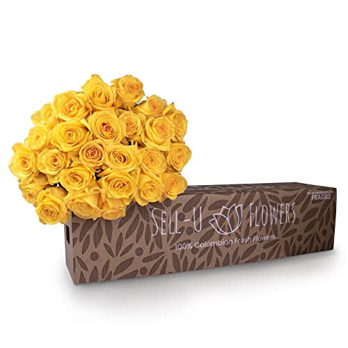 Product Image of the Sell-U Flowers | 50 Stems of Yellow Roses | Fresh Farm Direct Shipping | No Deliveries on Weekend | Gift for Valentine's Day, Mother’s Day, Birthday | No Vase Included