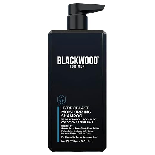 Blackwood For Men Hydroblast Moisturizing Shampoo - Men's Vegan & Natural Shampoo for Coarse, Dry, & Curly Hair - Infused with Ginseng & Ginger - Sulfate Free, Paraben Free, & Cruelty Free (17 Oz)