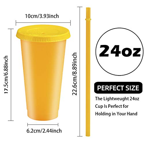 Color Changing Cups, 24oz 5 Reusable Cold Drink Cups with Lids and Straws Summer Coffee Tumblers Party Cup for Adults