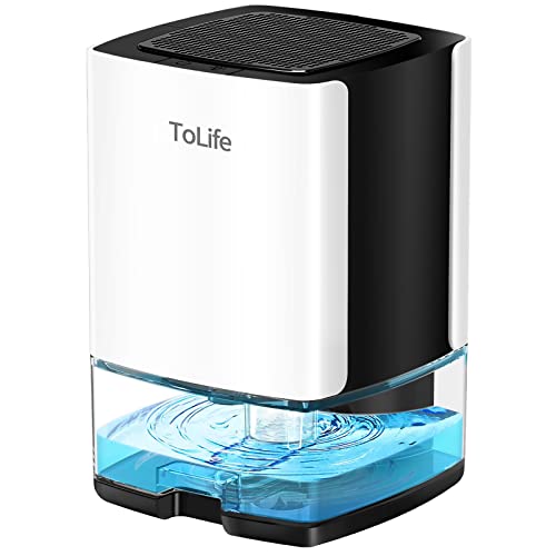 Top 10 Best Small Dehumidifier For Homes Reviews & Buying Guide Katynel