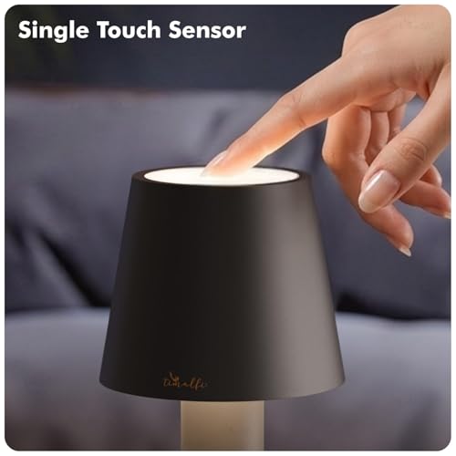 Image of Wireless Bottle Lamp for Living Room | 3 Colour Tones with Dimming | Rechargeable Touch Lampshade | Night Light for Bedroom | Birthday Gifts for Girls, Women, Wife (Black, Iris)
