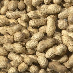 Trusty® Pet Supplies Wild Bird Peanuts in Shells Monkey Nuts 5kg