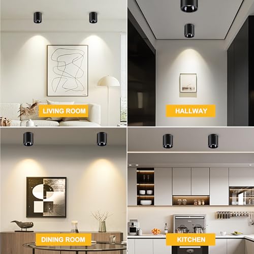 Image of Ceiling Spot Lights Indoor 5-Color Dimmable Flush Mount Black Cylinder Down Light Modern LED Ceiling Light for Living Room Hallway Kitchen Dining Room Foyer