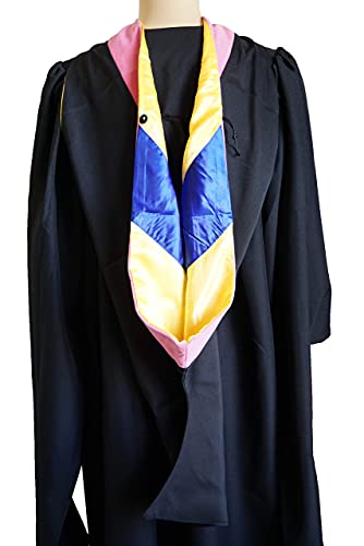 GRADWYSE Master of Public Health Master Hood MPH Salmon Pink Graduation Master Degree Hood, Various College Colors Available3