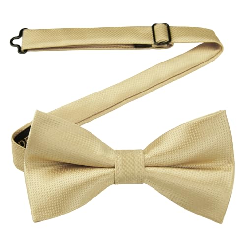 HISDERN Noeud Papillon Champagne Homme Pré-noué Réglable Nœud Papillon de Smoking pour Formel Mariage Fête Soirée