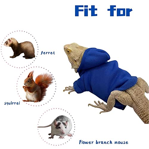 KUNBIUH Roupas de Lagarto para Dragões Barbudos, Material de Pano Feito À Mão, Moletom com Capuz, Ca