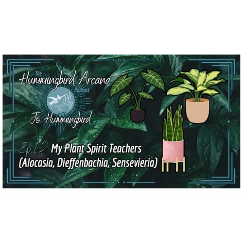 Ep.12 My Plant Spirit Teachers (Alocasia, Dieffenbachia, Sansevieria)