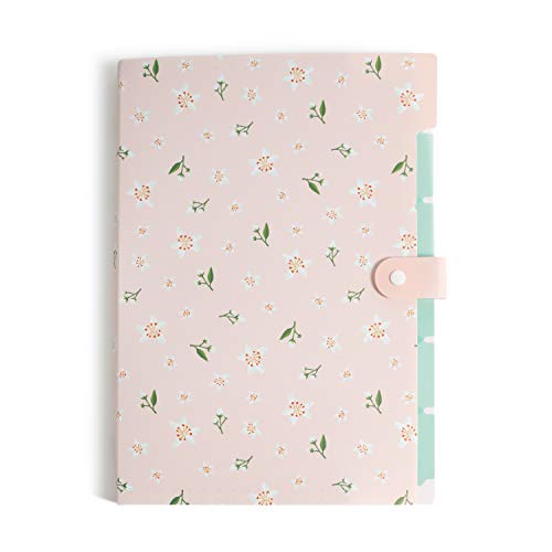 U Brands Pasta de arquivo expansível moderna, pasta de poliéster com 5 bolsos, padrões elevados, pac