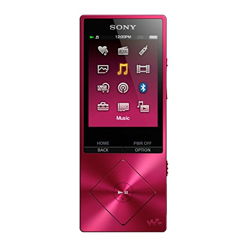 Sony NW-A25 - Walkman con sonido de alta resolución Hi-Res Audio