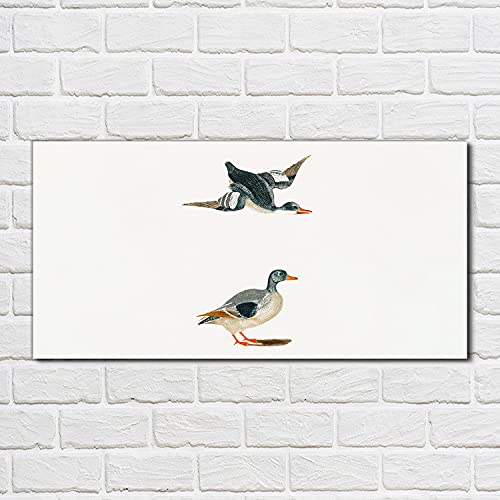 Impression sur verre oiseaux et canards pour illuminer votre salon moderne