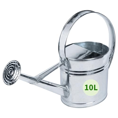 TTL GARDEN Regadera de metal galvanizado de 10 l, regadera de zinc con alcachofa de riego desenroscable, 10 l de volumen, ovalada de zinc inoxidable, acero galvanizado, chapa plateada, resistente,