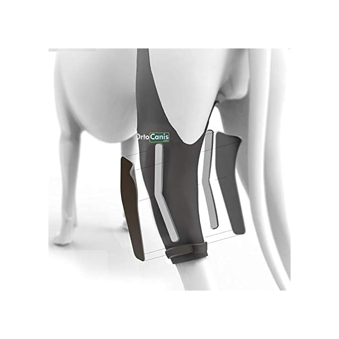 Buy Ortocanis Original Knee Immobilizer for Dogs with ACL and Patella