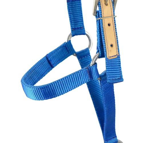 Cabresto de Seda para Cavalo SV5438 - Azul