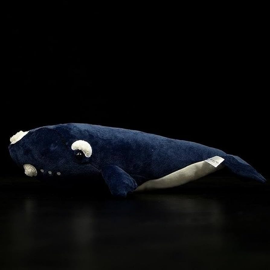 クジラ ジオラマ模型 / SB72498 クジラ 1/24 中級者向き