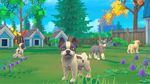 My Universe: Pets Edition - Image 6