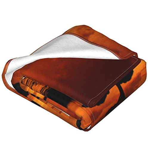 Couverture micro polaire girafe plaid chaud anti-frissons lit salon