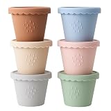 Andy Bear Silicone Containers