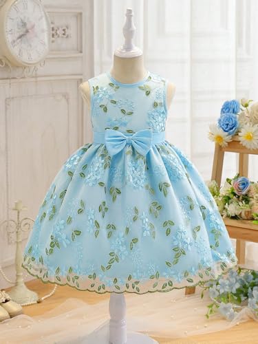 Image of Tagas Girls' Princess Dress | Girl Dress |Dresses birthdaydress for Babygirls | A-Line Knee-Length Dress