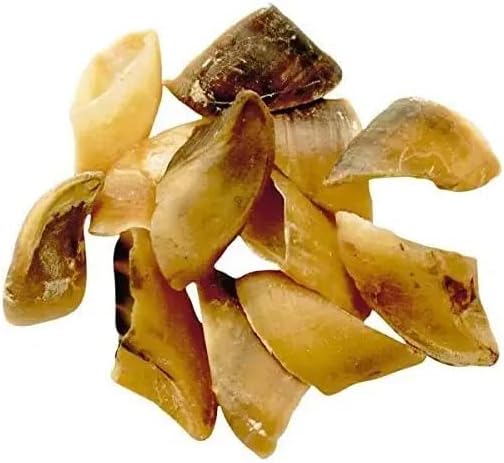 CHEW Hooves Bulk Packs for Dogs USA Made Natural Healthy Dental Dog Hoof Treats(50 Hooves Smoked)