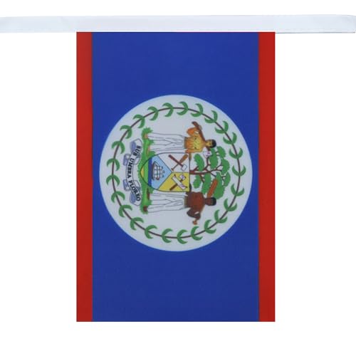 Image of AZ FLAG Belize 6 meters BUNTING Flag 20 flags 9'' x 6'' - Belizean STRING flags 15 x 21 cm