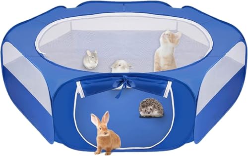 Vinebeautiful ܂肽ݎybgxr[T[NAybgxr[T[N - ܂肽ݎybgxr[T[NETM̃xr[T[N L̃xr[T[N Jo[gbvt - |ȒPȉ^tFXA܂肽ݎETMƔL̃xr[T[N