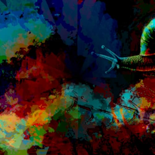 Follow the Clouds (naviarhaiku632)